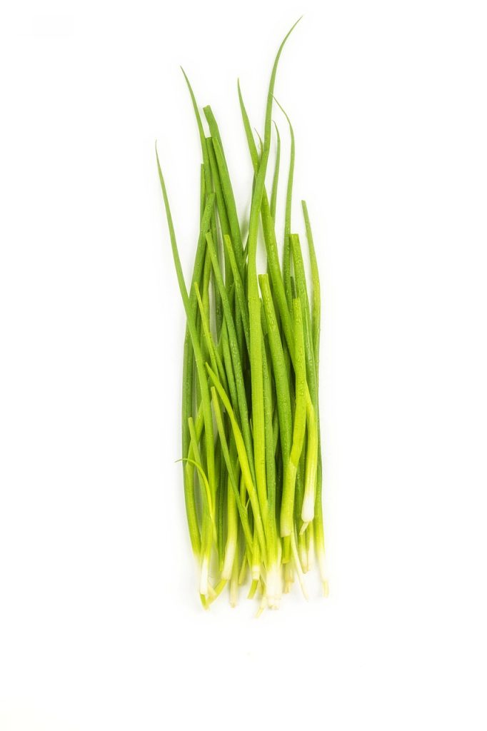 Can You Substitute Chives For Green Onions Substitute Ninja