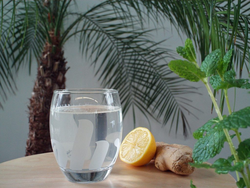 What's the Best Substitute for Ginger Beer? Substitute Ninja