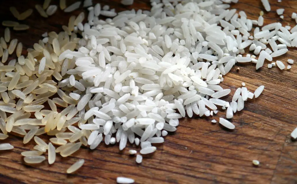 instant-rice-vs-regular-rice-which-is-more-nutritious-substitute-ninja
