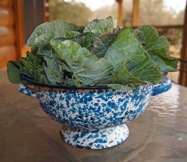 southern-collard-green-recipe-with-bacon-deporecipe-co